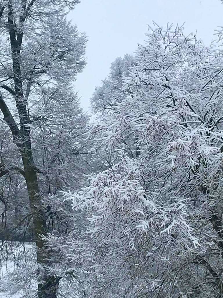 Zámecký park v Bludově u Šumperka.