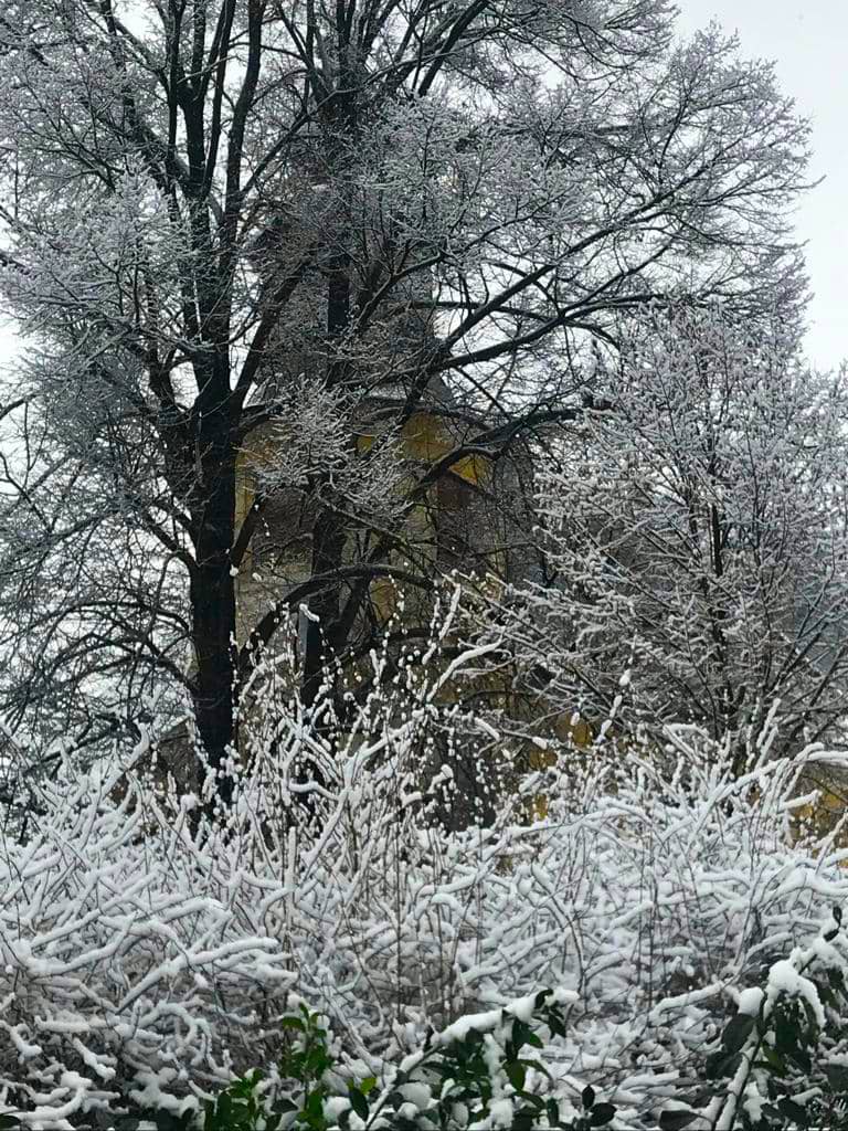 Zámecký park v Bludově u Šumperka.